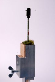 Der neue Wattenscheider slim