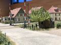 H0fine.Petersberg.2026.HDeg.096.jpg